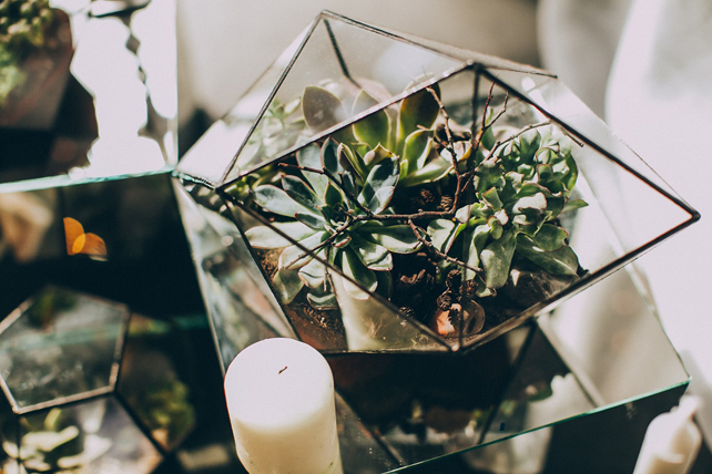 Презентация TOP 5 Masters of Ceremonies 