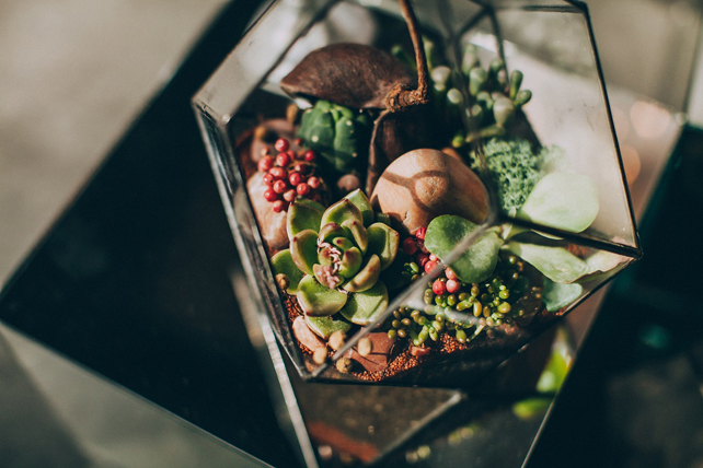 Презентация TOP 5 Masters of Ceremonies 