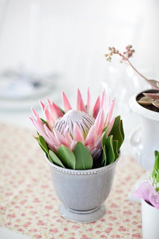 Загадочная протея: свадебные букеты и композиции 