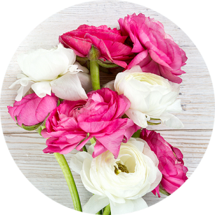 Флористы о цветах: нежный ранункулюс