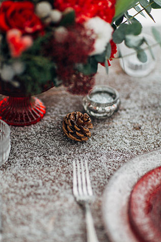 рождественская свадебная фотосессия, декор