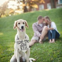 Источник фото