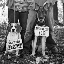 Источник фото