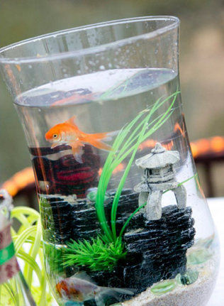 символическая свадебная церемония - ритуал исполнения желаний, золотые рыбки 