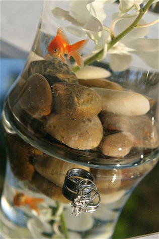 символическая свадебная церемония - ритуал исполнения желаний, золотые рыбки