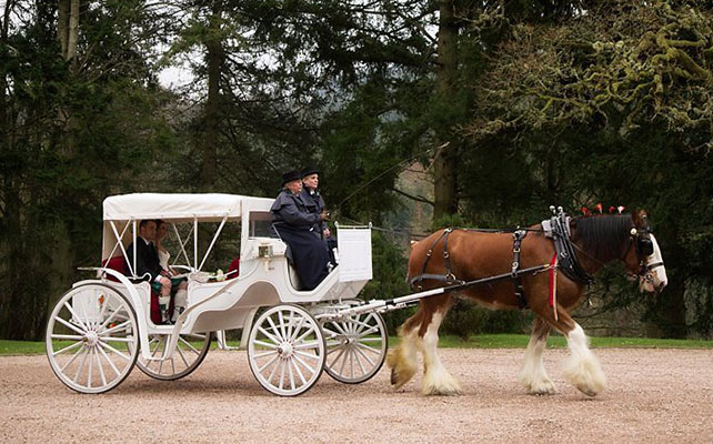 сказочная свадьба, транспорт