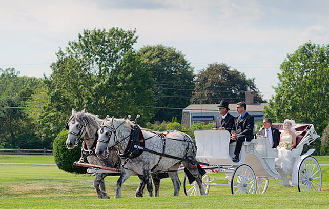 сказочная свадьба, транспорт