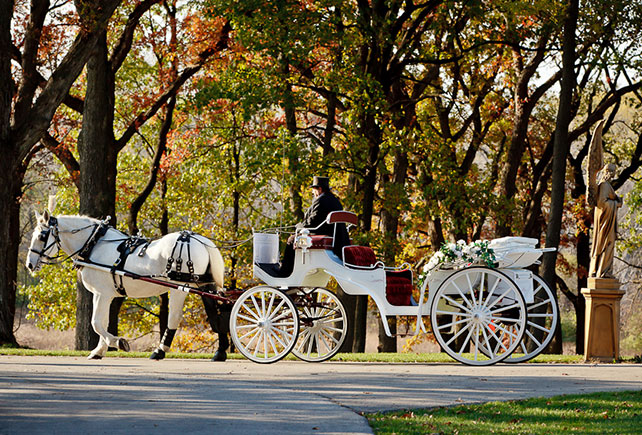 сказочная свадьба, транспорт