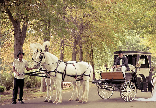 сказочная свадьба, транспорт