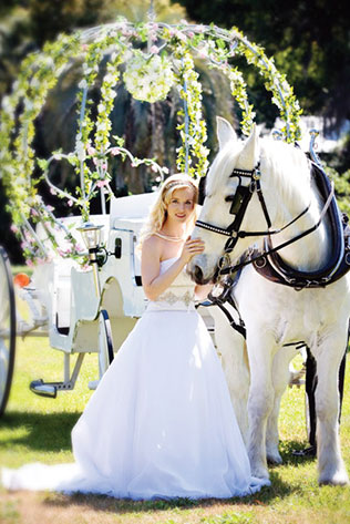 сказочная свадьба, транспорт