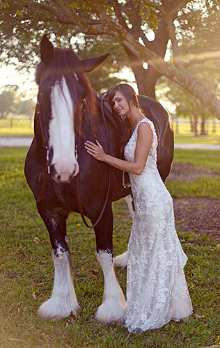 сказочная свадьба, транспорт