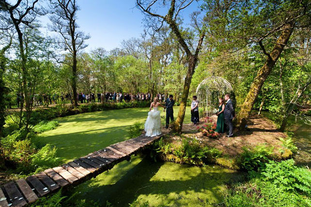 сказочная свадьба, место торжества