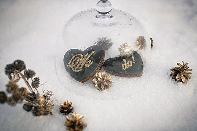 зимняя свадебная фотосессия, декор, шишки, печенье