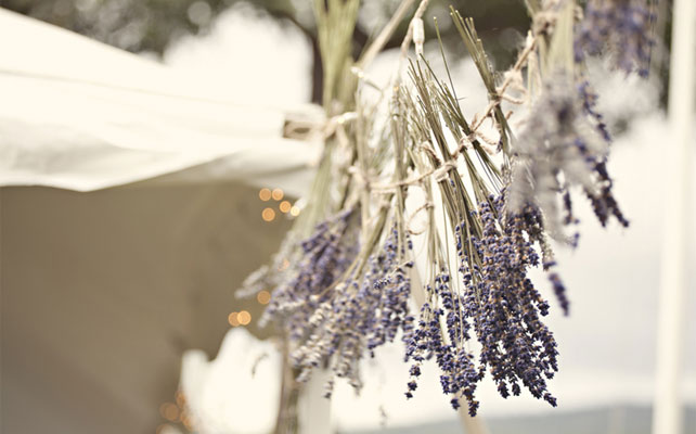 свадьба в стиле прованс, лаванда в декоре