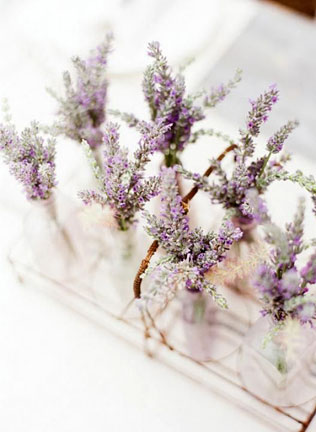 свадьба в стиле прованс, лаванда в декоре