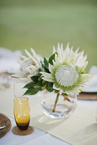 свадебная флористика, протея