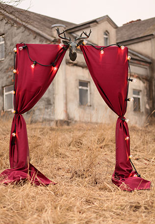 Свадебная фотосессия в сочных оттенках марсала, свадебная арка с оленьими рогами