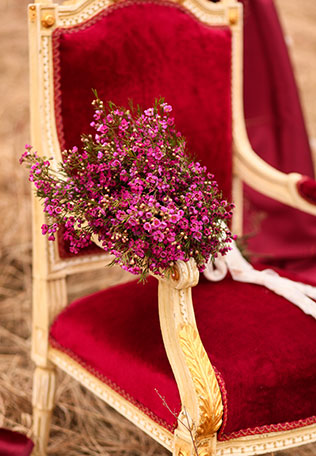 Свадебная фотосессия в сочных оттенках марсала, кресло