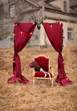 Свадебная фотосессия в сочных оттенках марсала, свадебная арка с оленьими рогами и кресло