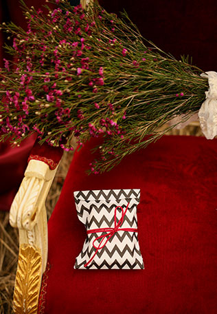 Свадебная фотосессия в сочных оттенках марсала, букет невесты