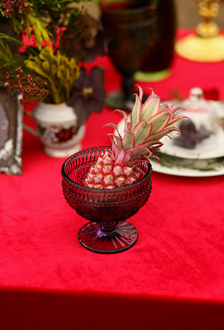 Свадебная фотосессия в сочных оттенках марсала, ананас