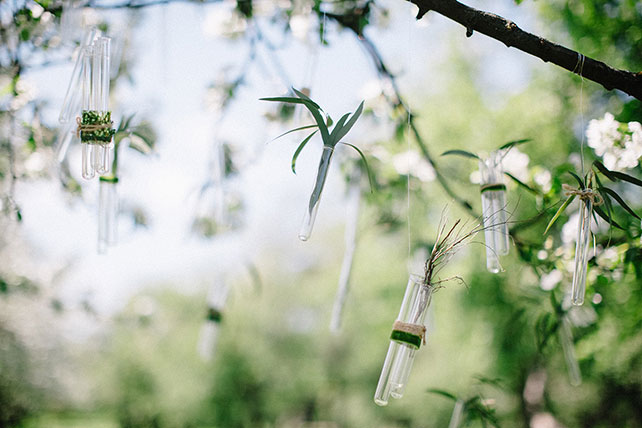 Свадебная фотосессия в яблоневом саду, цветки в колбах