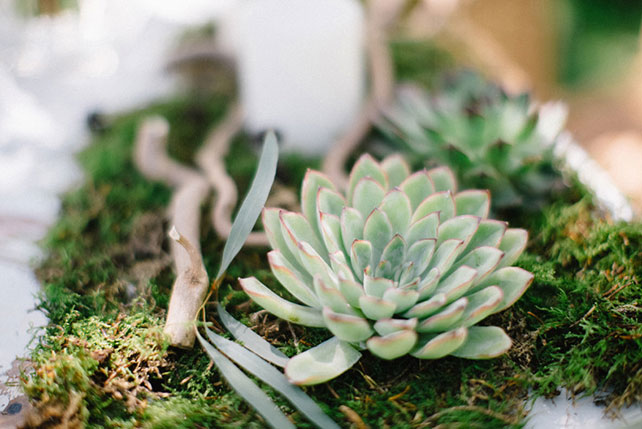 Свадебная фотосессия в яблоневом саду, флористика