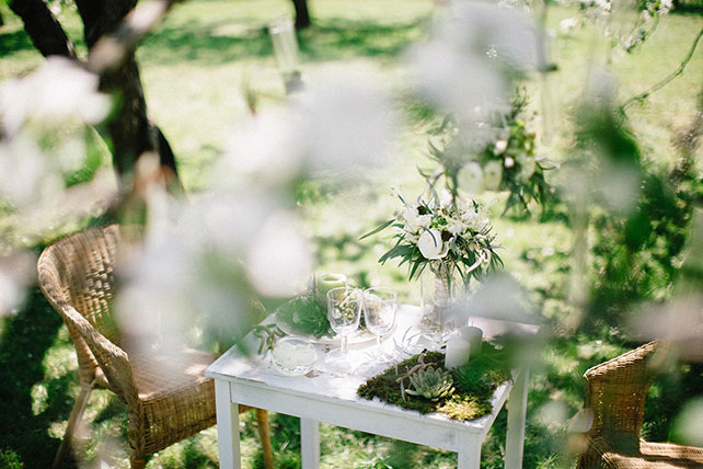 Свадебная фотосессия в яблоневом саду, сервировка стола