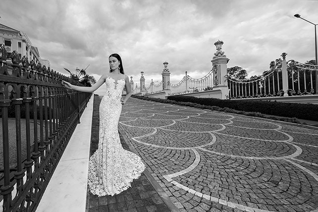 Свадебные платья Dimitrius Dalia 2015