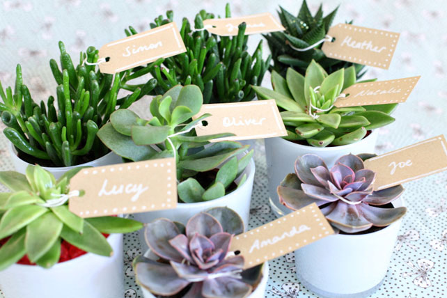 Свадебные тренды 2015 - эко-стиль, бонбоньерки