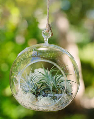 Свадебные тренды 2015 - эко-стиль, цветы в стекляном шаре