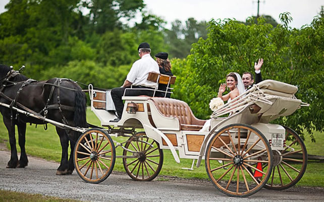 необычный свадебный кортеж