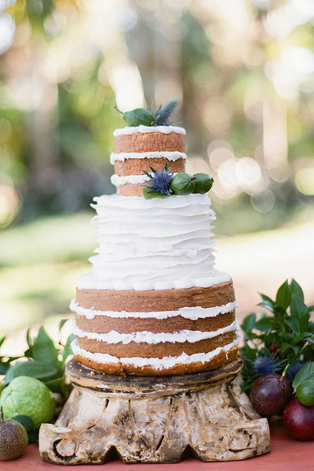 Тренды 2015 года: какой торт выбрать на свадьбу 