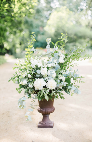 Елена Горяйнова, Sweet William 