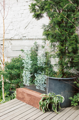 Елена Горяйнова, Sweet William 