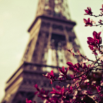 Поцелуи на Монмартре, или как провести медовый месяц в Париже