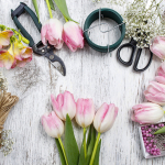 Флористы о цветах: весенние тюльпаны