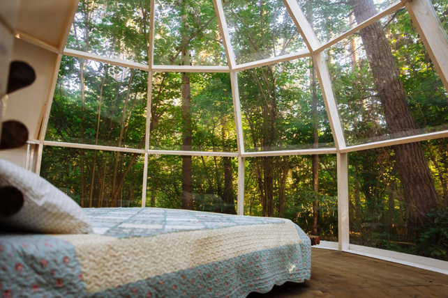 подмосковный ресторан для зимней свадьбы, дачный отель Pine River