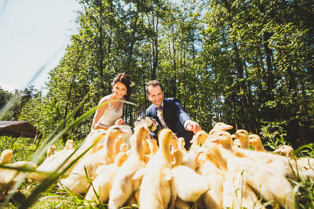 подмосковный ресторан для зимней свадьбы, комплекс Artiland