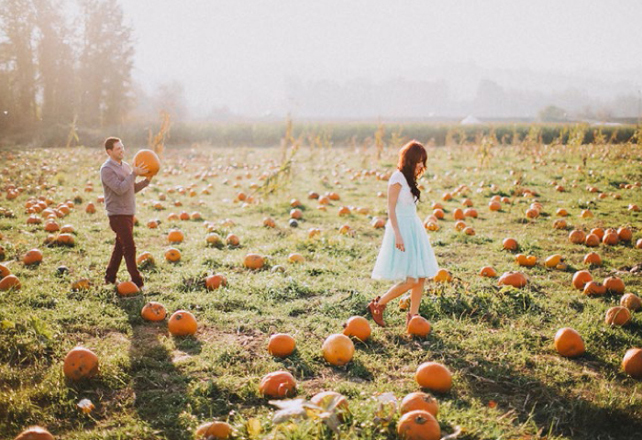 Осеннее вдохновение: тыквы в декоре свадьбе 