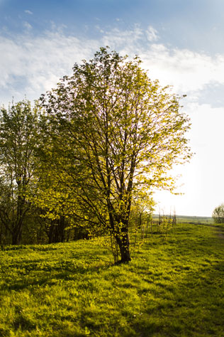 Вдохновение заката: романтичная фотосессия невесты, летний пейзаж - место съемки