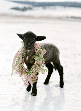 Свадьба в деталях: венки и веночки 
