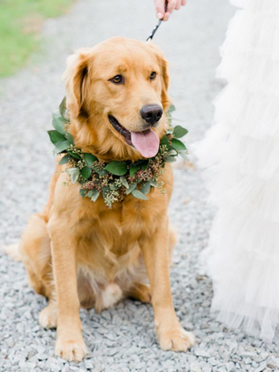 Свадьба в деталях: венки и веночки 