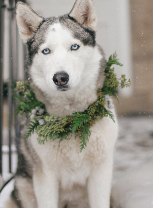 Свадьба в деталях: венки и веночки 