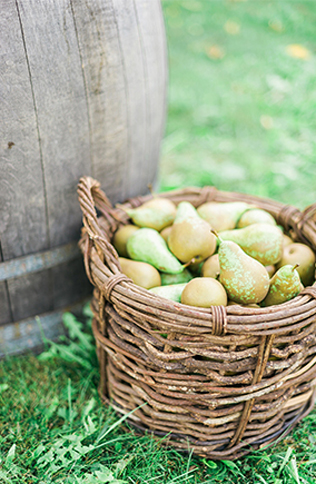 65 стильных идей для весенней свадьбы в саду, груши