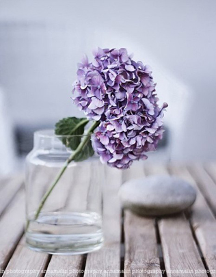 В ожидании весны: все оттенки сиреневого для свадьбы мечты 