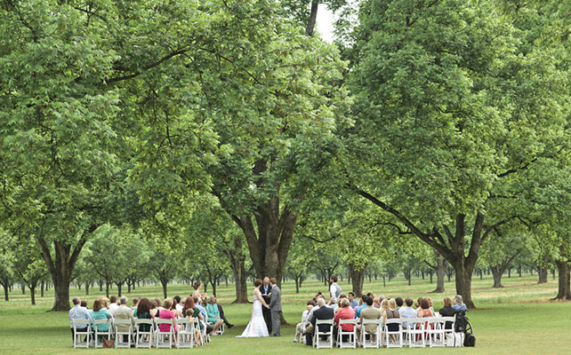 как организовать выездную регистрацию