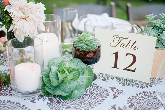 Узоры и принты