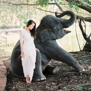 Это вам не котики! Лучшие свадебные фотографии с животными