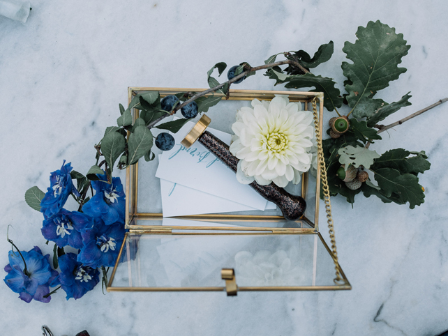 Наталия Разумовская-Драгани, WOW-Wedding 